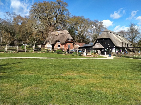 Furzey Gardens-Minstead必去景点