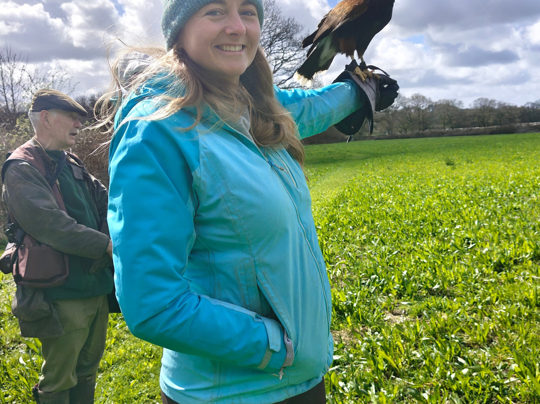 North Devon Hawk Walks-South Molton必去景点