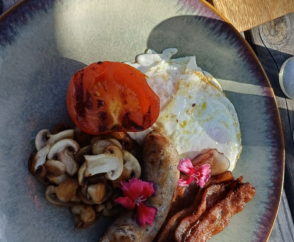 South Hill Vineyards - Elgin Western Cape-Elgin必去景点