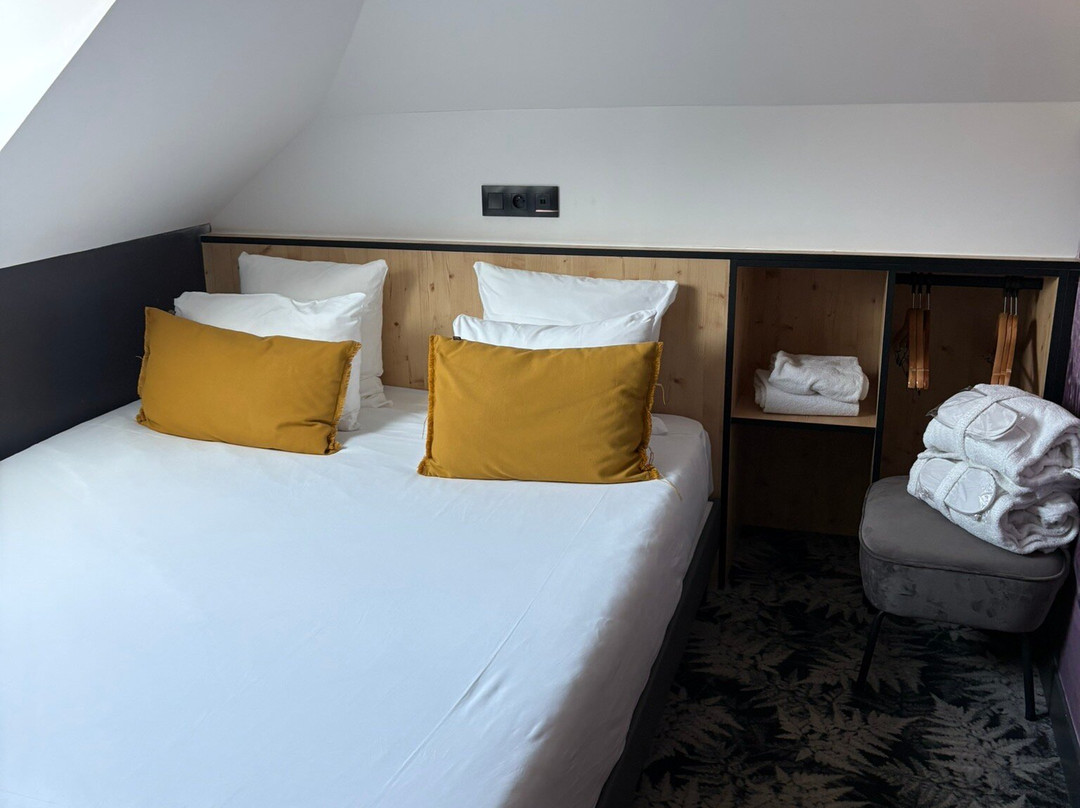 Ribeauvillé的L'酒店和Spa主图