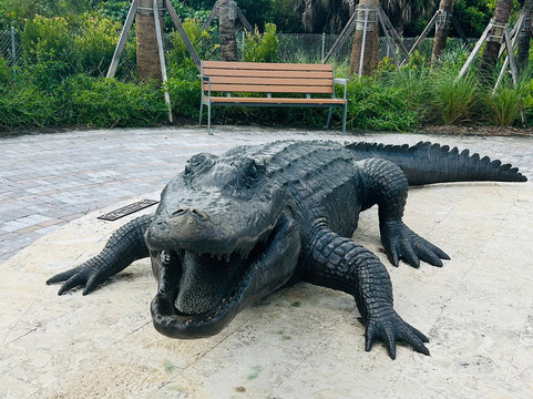 Everglades Swamp Tours-Everglades Wildlife Management Area必去景点