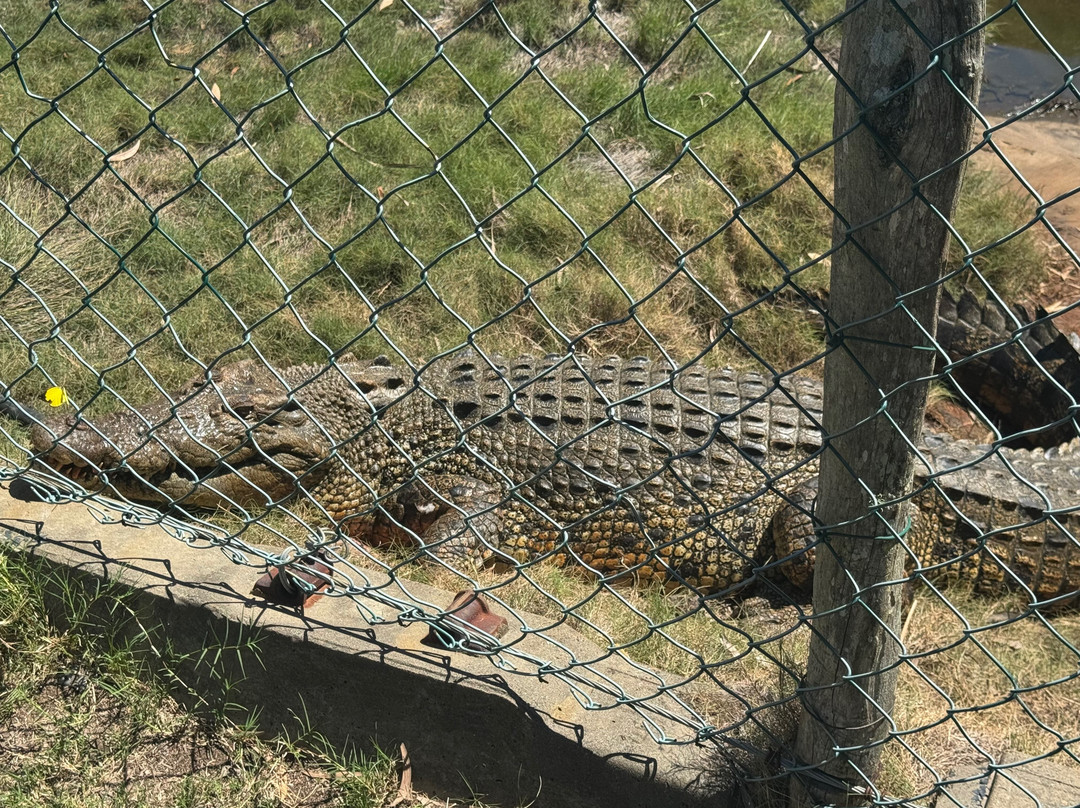 Koorana Crocodile Farm-Coowonga必去景点