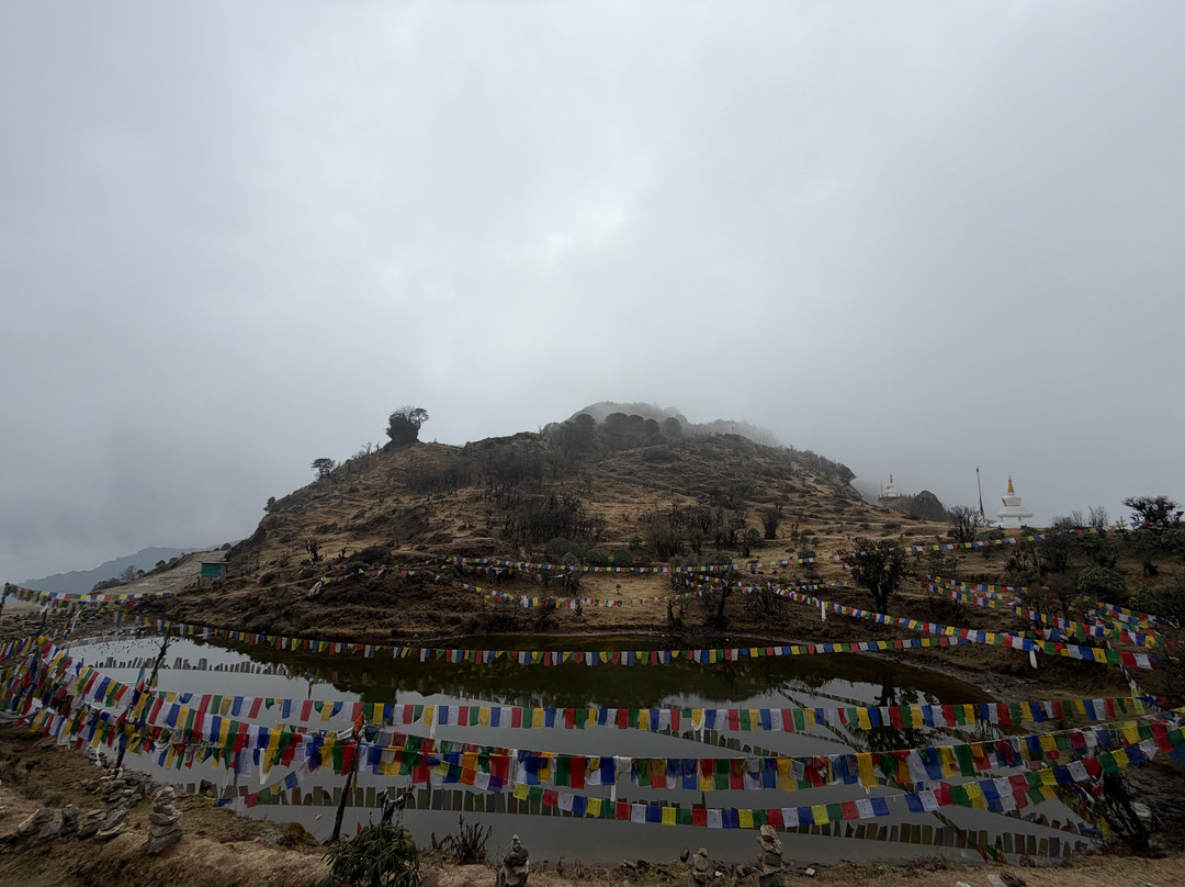 Aamees Alpine Adventure-大吉岭必去景点