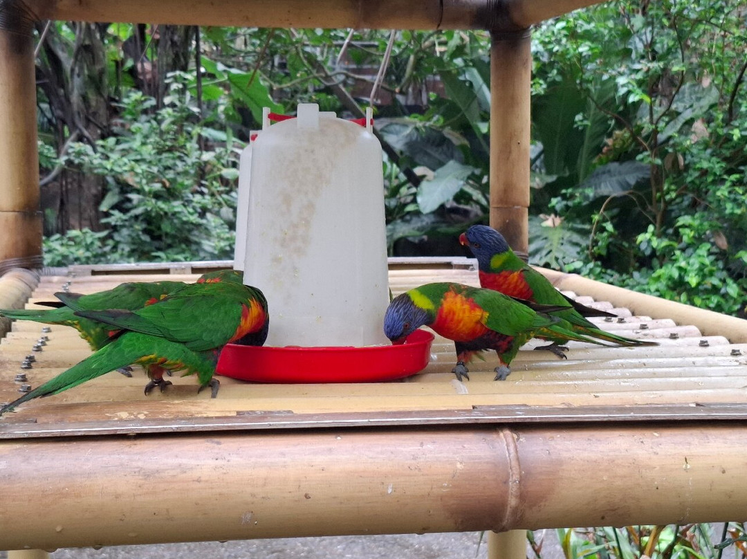 Wildlands Adventure Zoo Emmen-Emmen必去景点