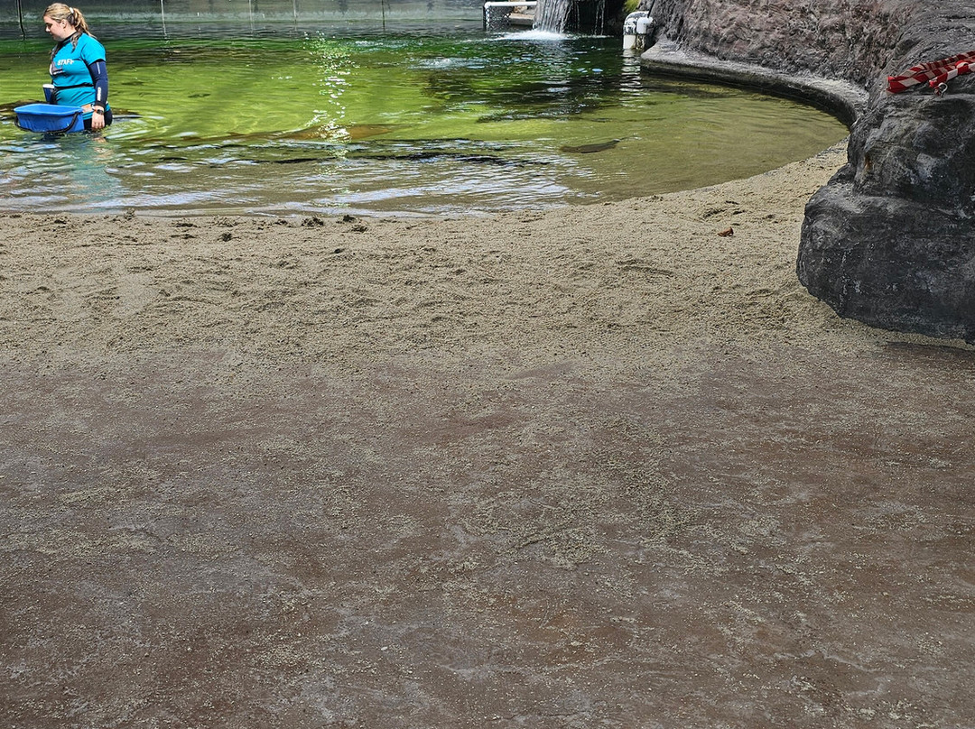 Irukandji Shark & Ray Encounters-史蒂芬斯港必去景点