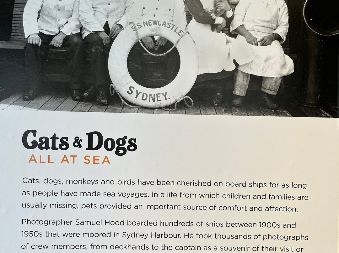 Jervis Bay Maritime Museum & Gallery-赫斯基森必去景点