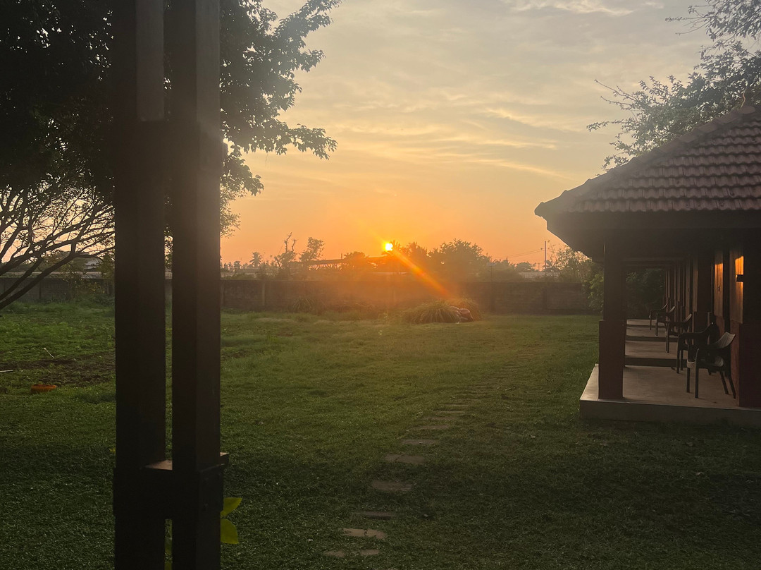 Thinnai Organic Farm主图