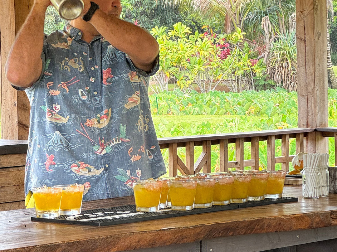 Kauai Safaris-利胡埃必去景点