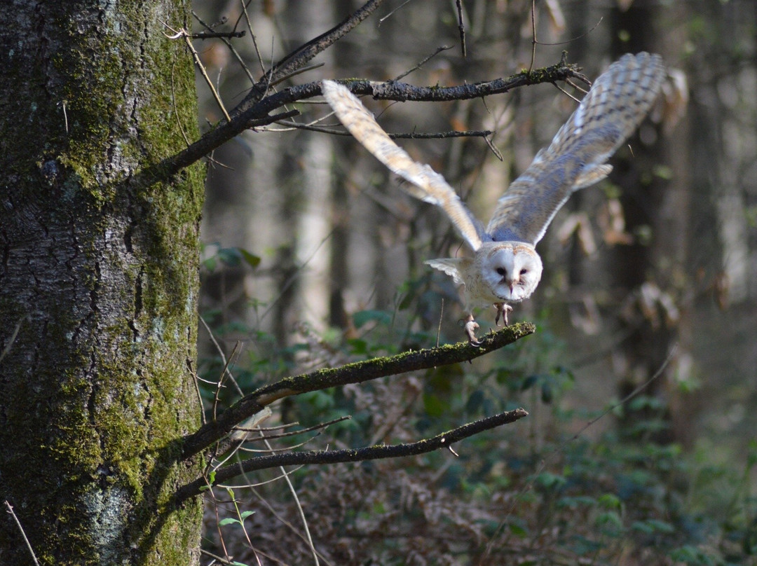 Mon Perroquet & Cie-Montrichard必去景点