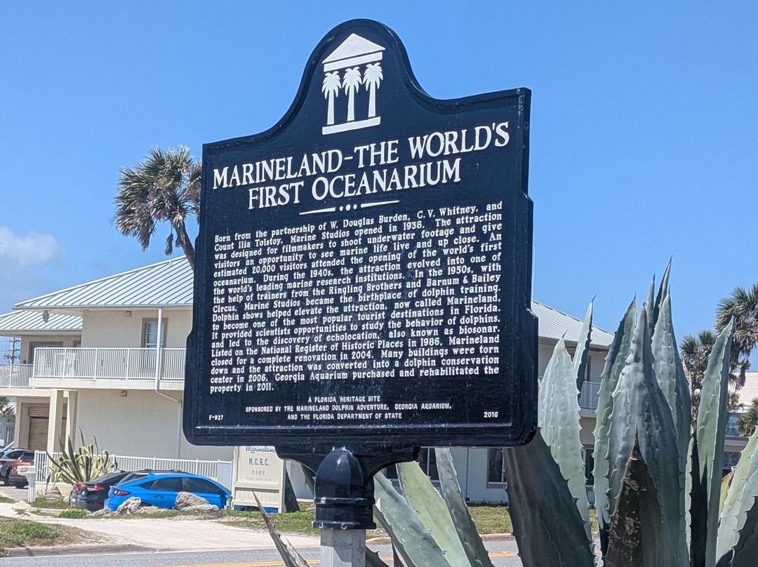 Marineland Dolphin Adventure-Marineland必去景点
