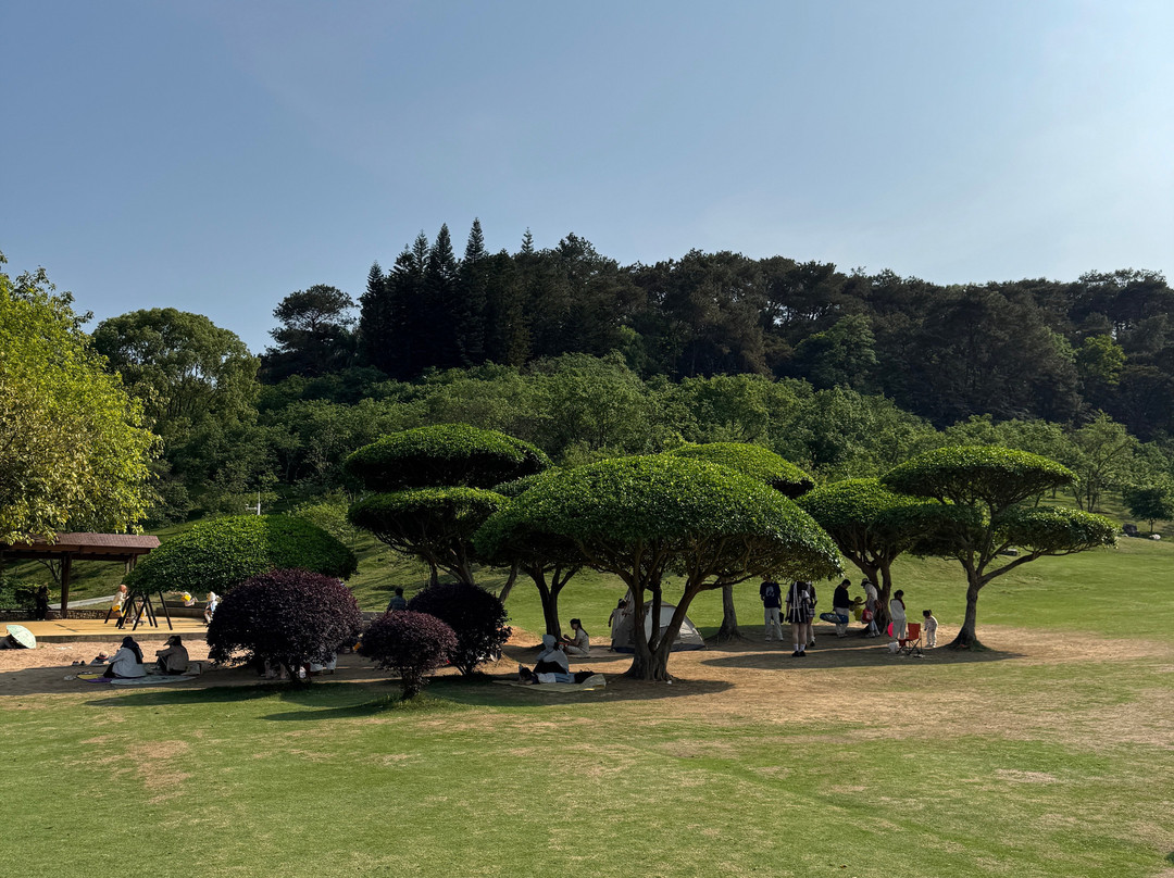 石门森林公园-南宁市必去景点