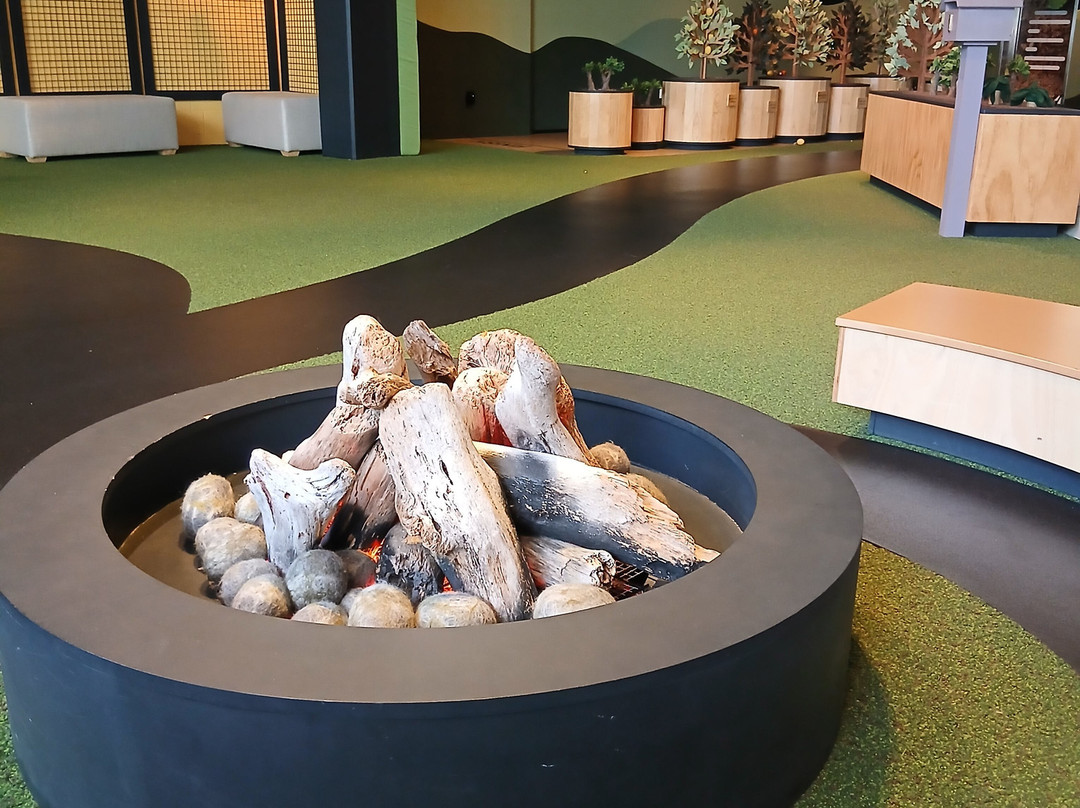 Te Whare Taonga O Waikato Museum & Gallery-汉密尔顿必去景点