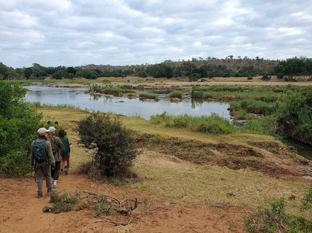 Game drives at Phalaborwa Gate in Kruger National Park-克鲁格国家公园必去景点