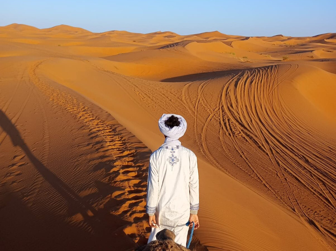 Desert Unlimited Morocco - Day Tours-瓦尔扎扎特必去景点