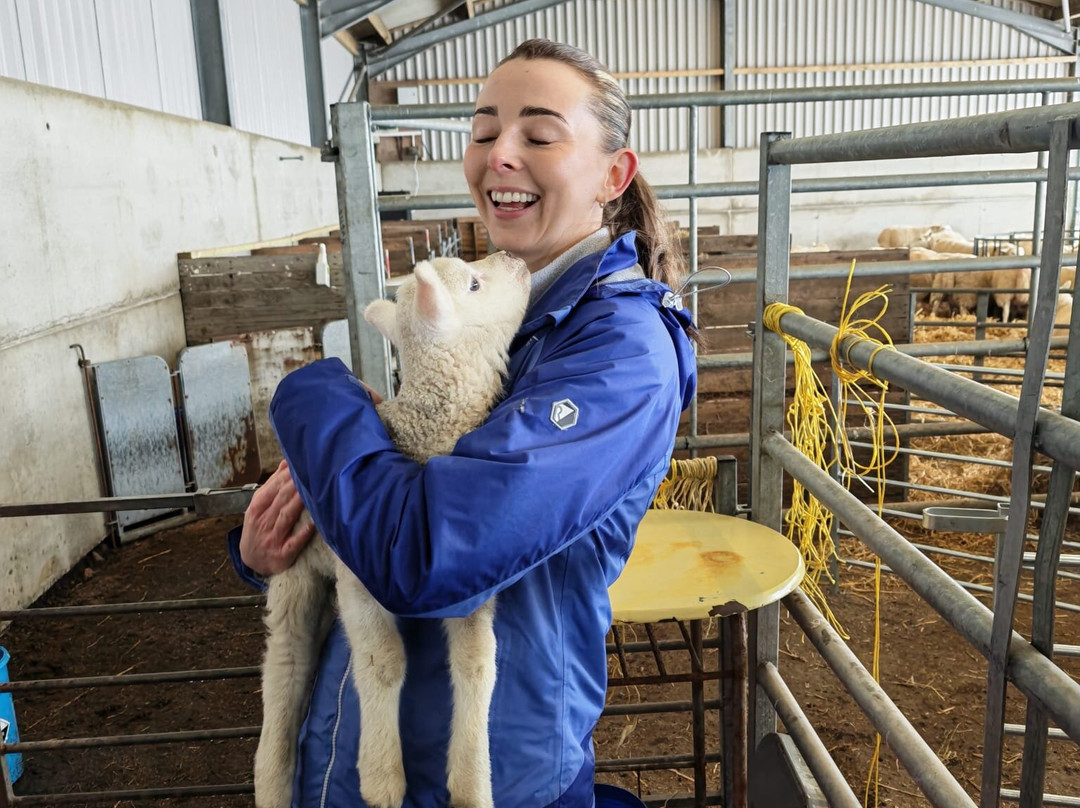 Kilmacolm Farm Tours-Cairncurran必去景点