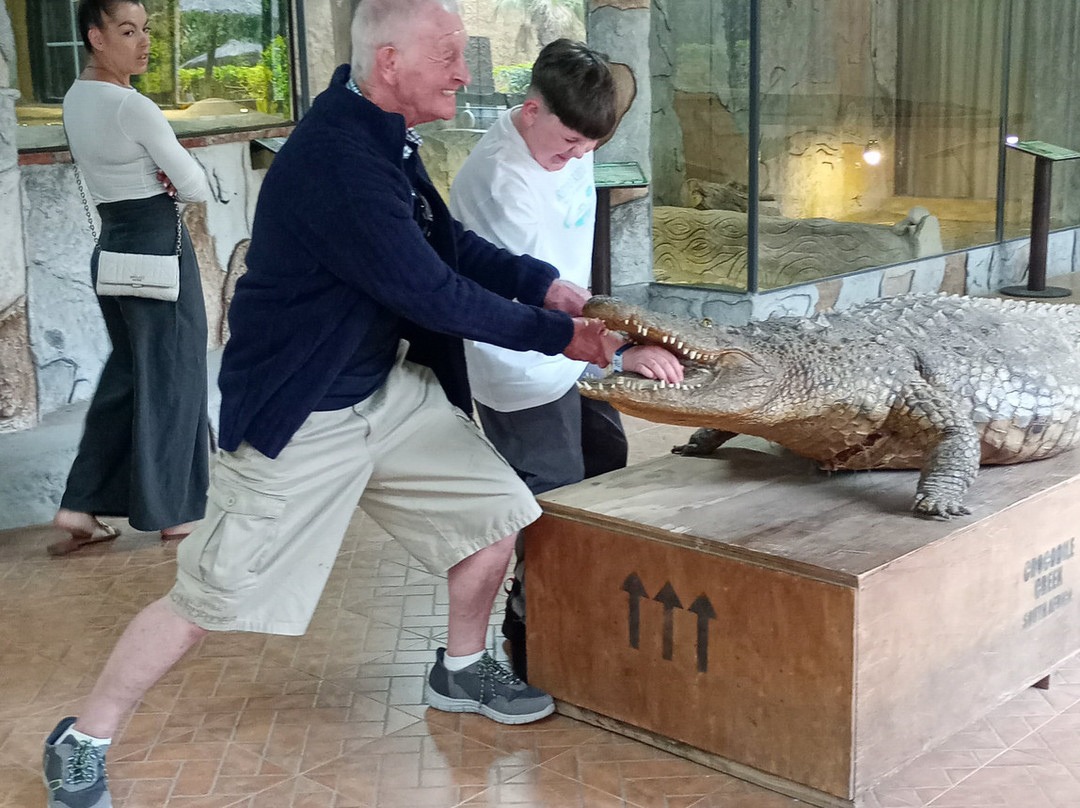 Crocodile Park-托雷莫里诺斯必去景点