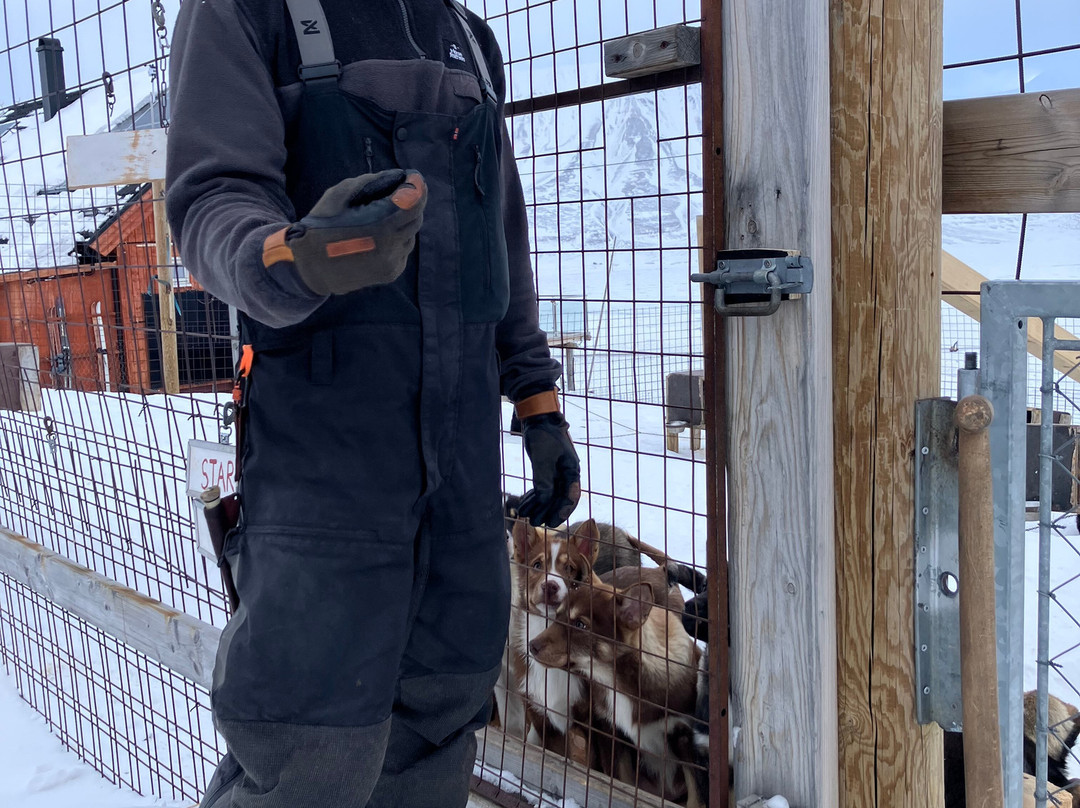 Green Dog Svalbard-朗伊尔城必去景点