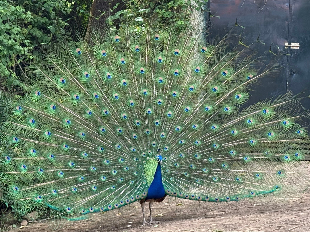 Mundo Park-Las Pajanosas必去景点