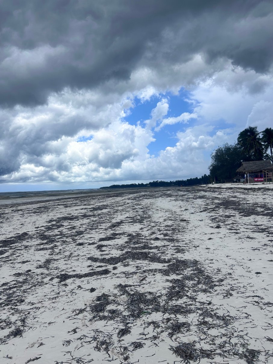 Blu Marlin Village-官方