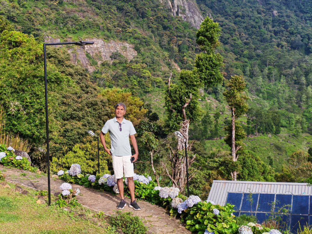 曼达朗生态度假村主图