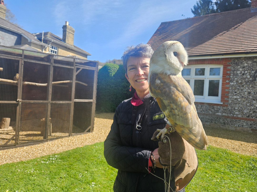 West Sussex Falconry-Compton必去景点