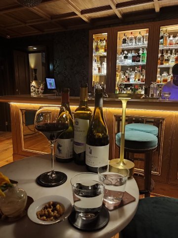 圣地亚哥阿尔法玛精品酒店-旅行者