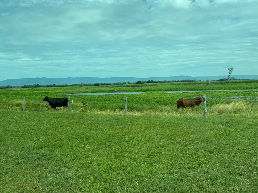 Mungalla Aboriginal Tours-Ingham必去景点