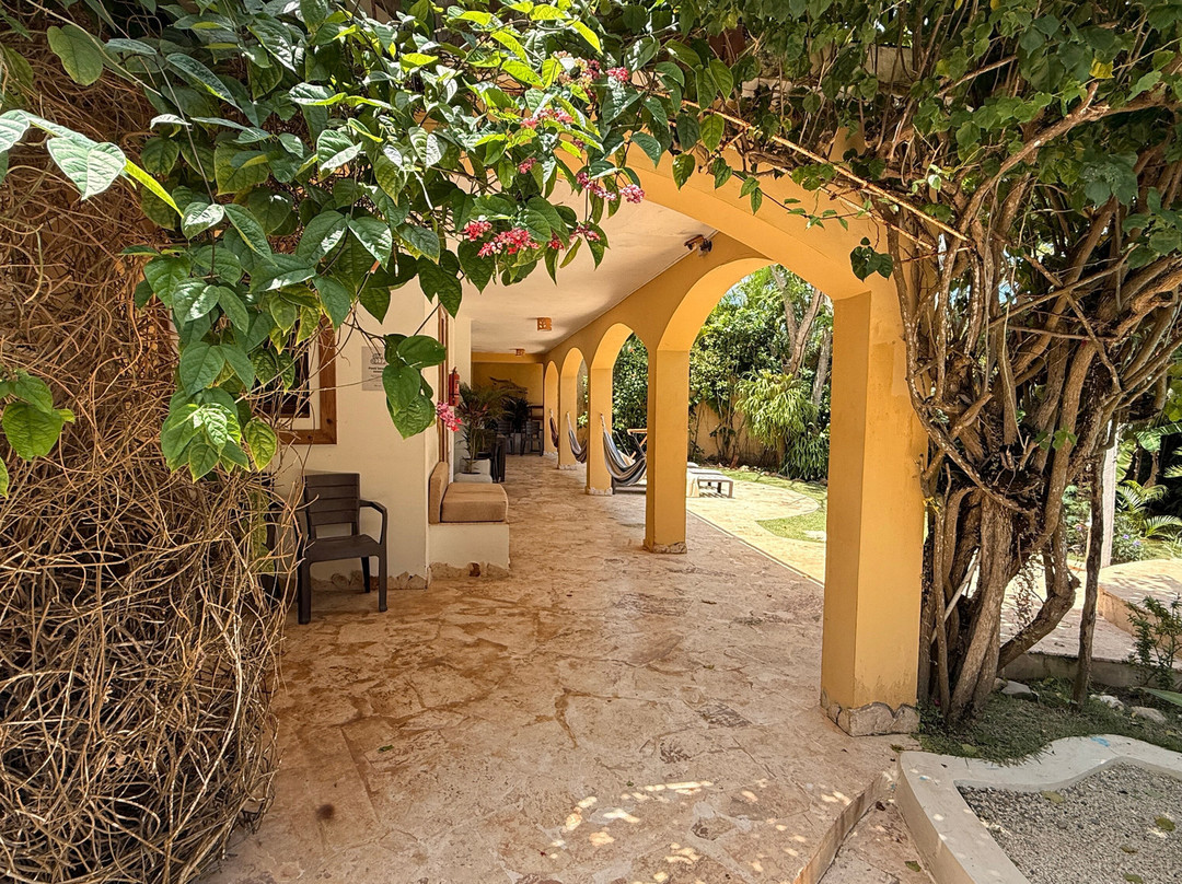 Surfbreak Cabarete B&B Surf And Yoga主图
