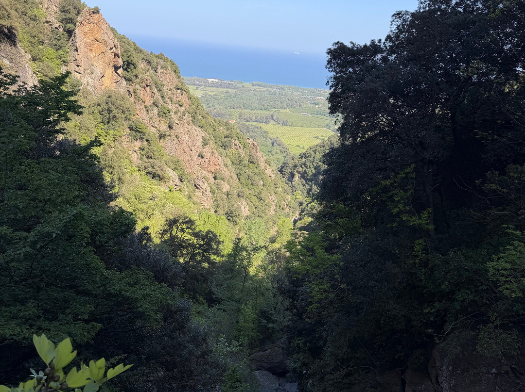 Corse Trike-Bastia必去景点