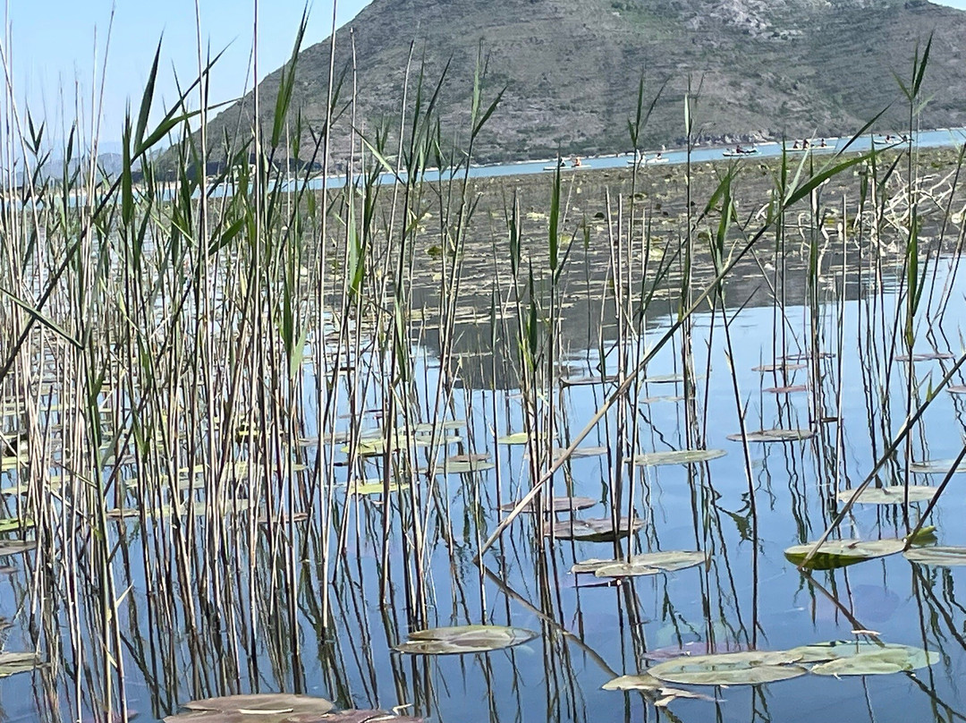 Lake Skadar-黑山共和国必去景点