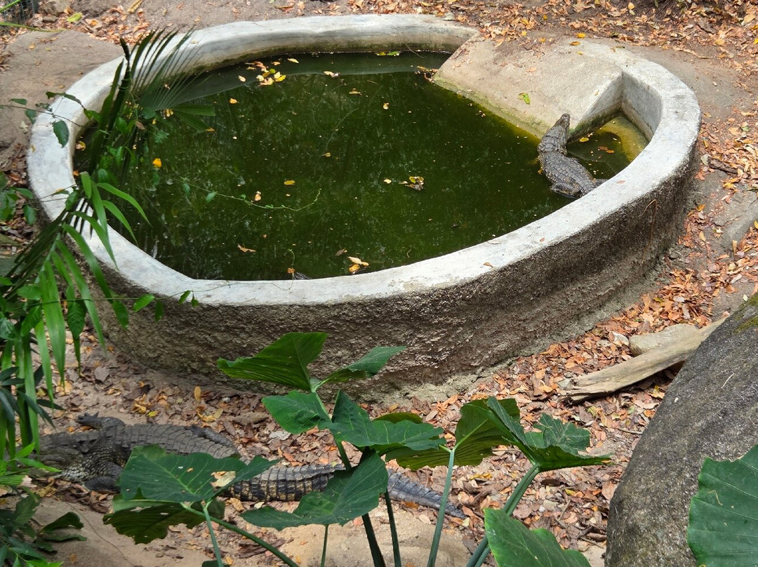 Zoologico de Vallarta-Mismaloya必去景点