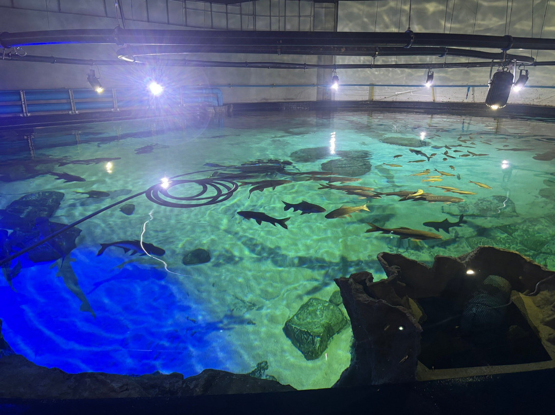 Angkor Wildlife & Aquarium-暹粒必去景点