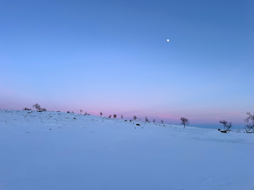 Aurora Holidays-Utsjoki必去景点