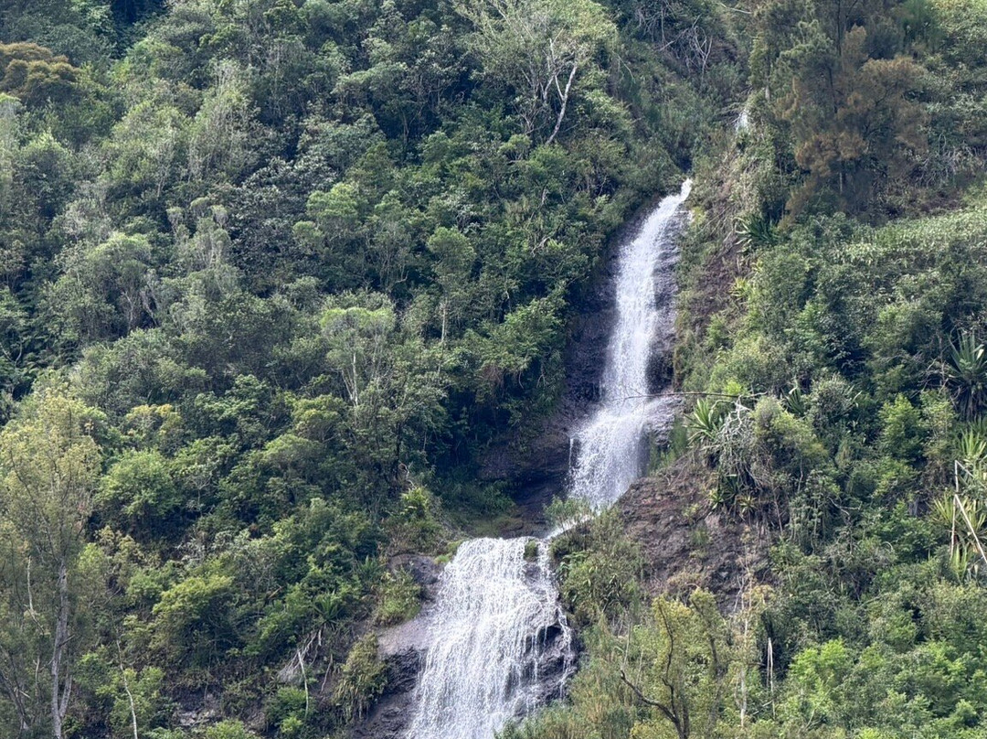 Cascade du Voile de la Mariée-Salazie必去景点