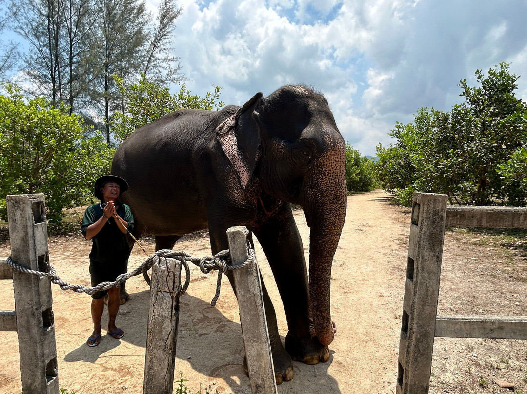 Khaolak Enjoy Tour And Travel-拉克山必去景点