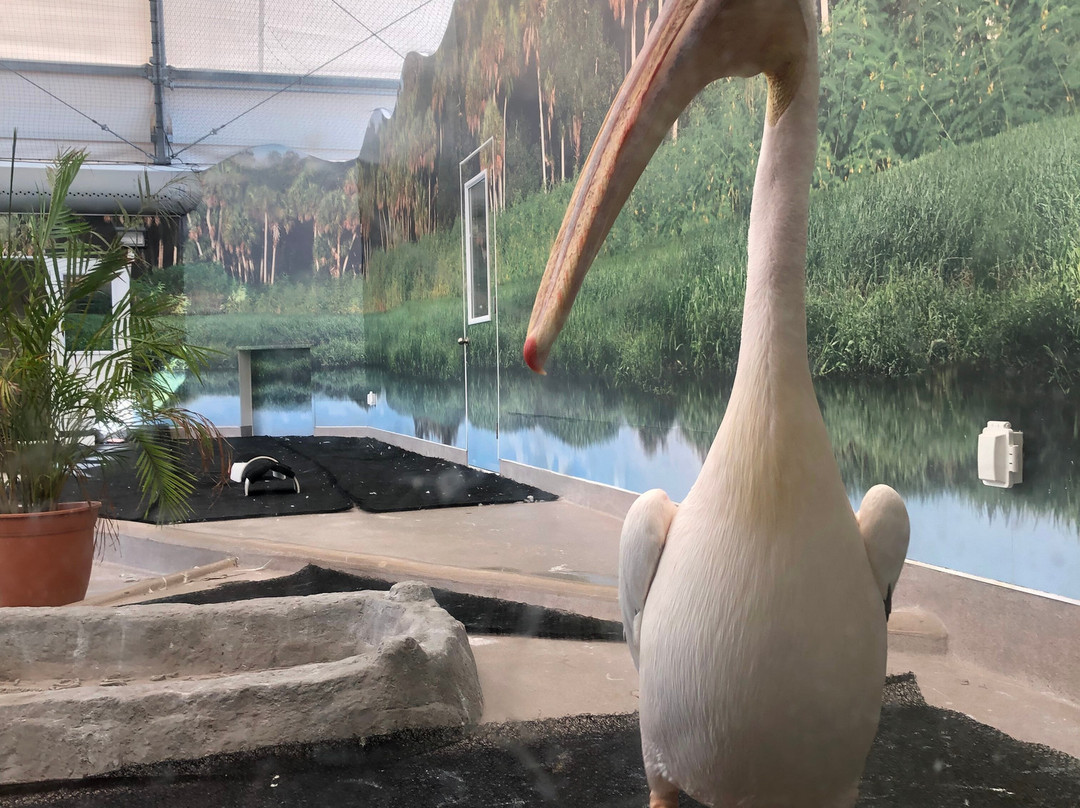 Clearwater Marine Aquarium-克利尔沃特必去景点