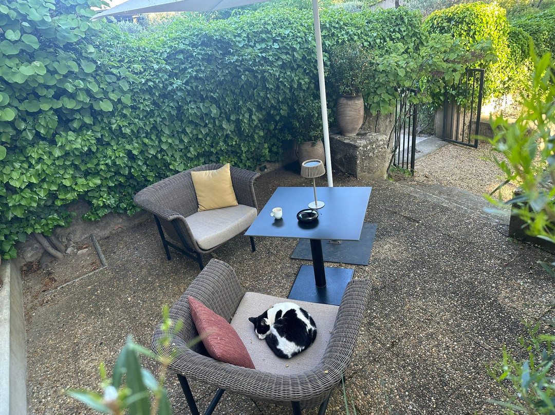 圣维克图瓦郊外小屋酒店及水疗主图
