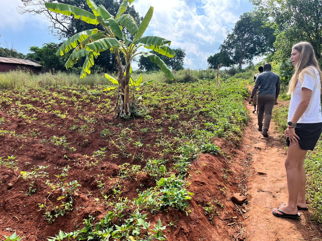 The Adventures Feet Malawi-姆兰杰必去景点