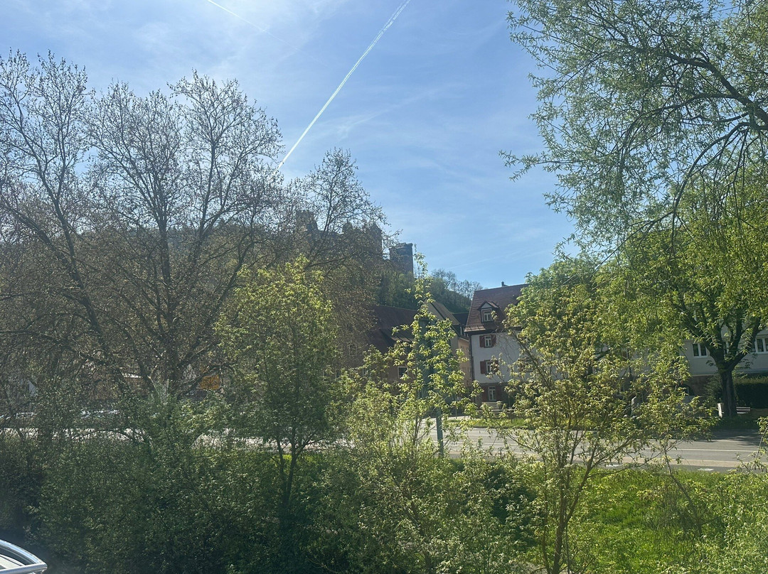 Burg Wertheim-沃特海姆必去景点