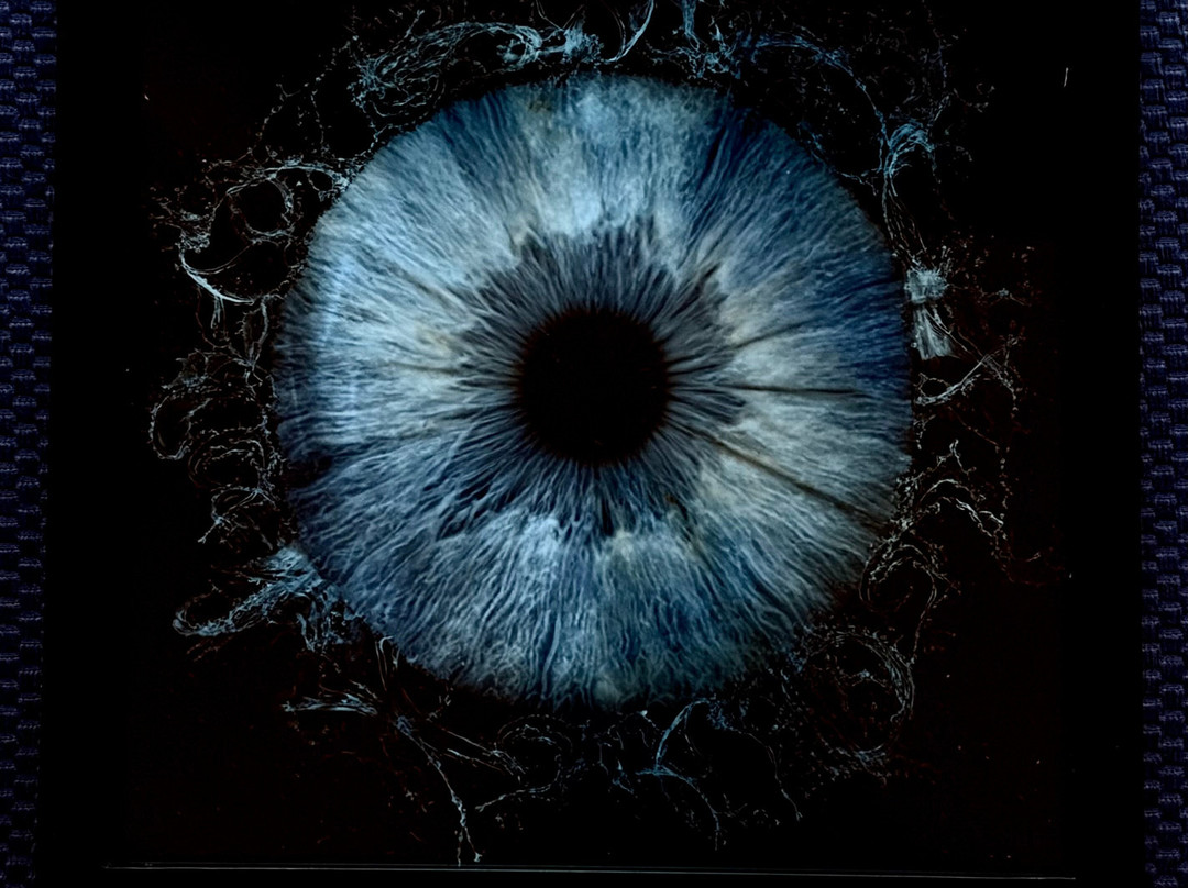 Iris Galerie Amsterdam Spiegelgracht-阿姆斯特丹必去景点