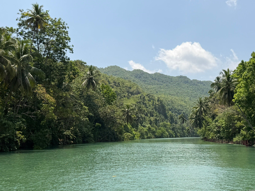 Loboc River Cruise-洛博克必去景点