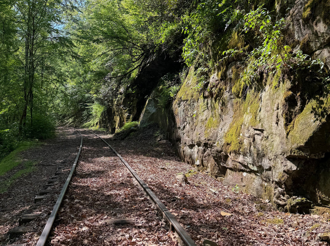 Rail Explorers: Elk River Division-Clay必去景点