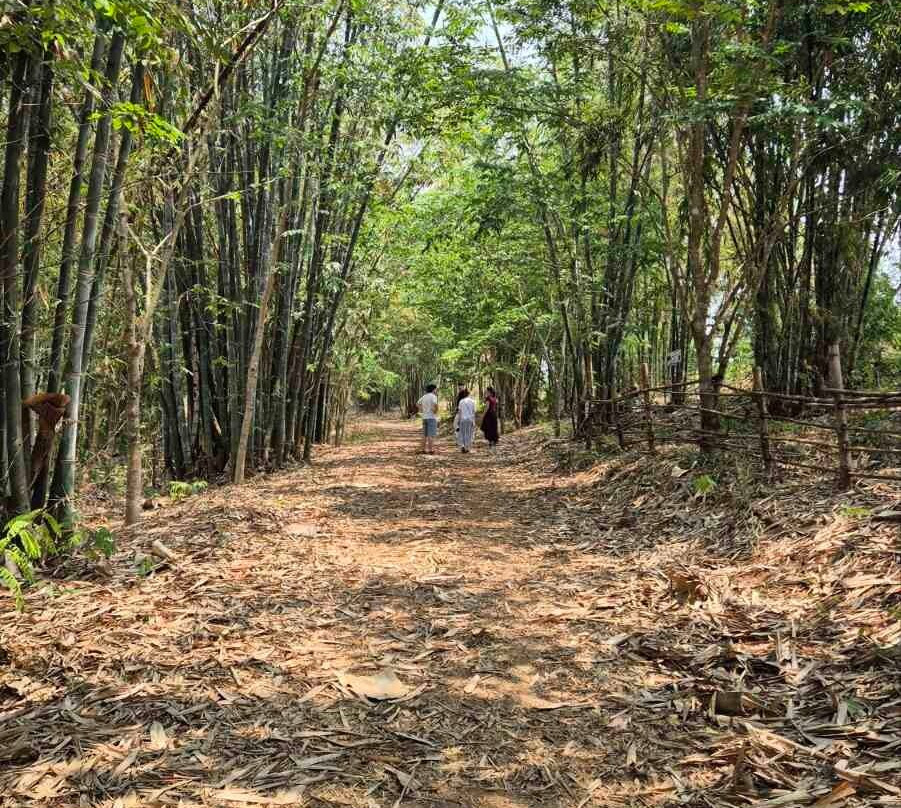 Longneck Karen Village-清莱必去景点