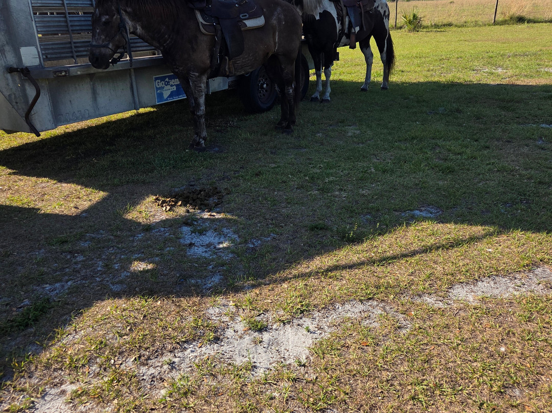 Wagon Wheel Horse Farm-奥基乔比必去景点