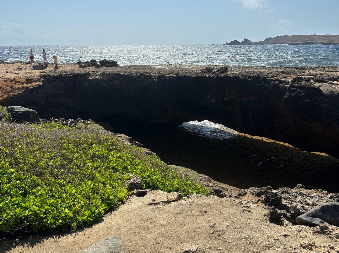ABC Tours Aruba-奥腊涅斯塔德必去景点