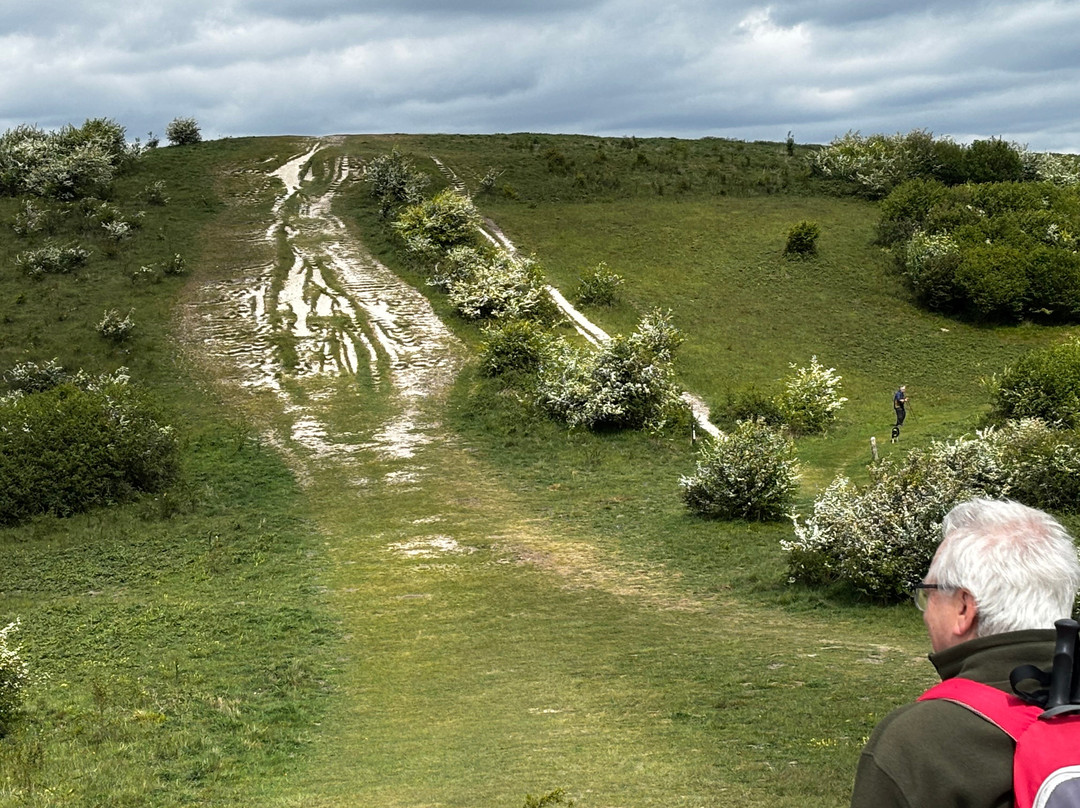 National Trust - Ashridge Estate-Berkhamsted必去景点