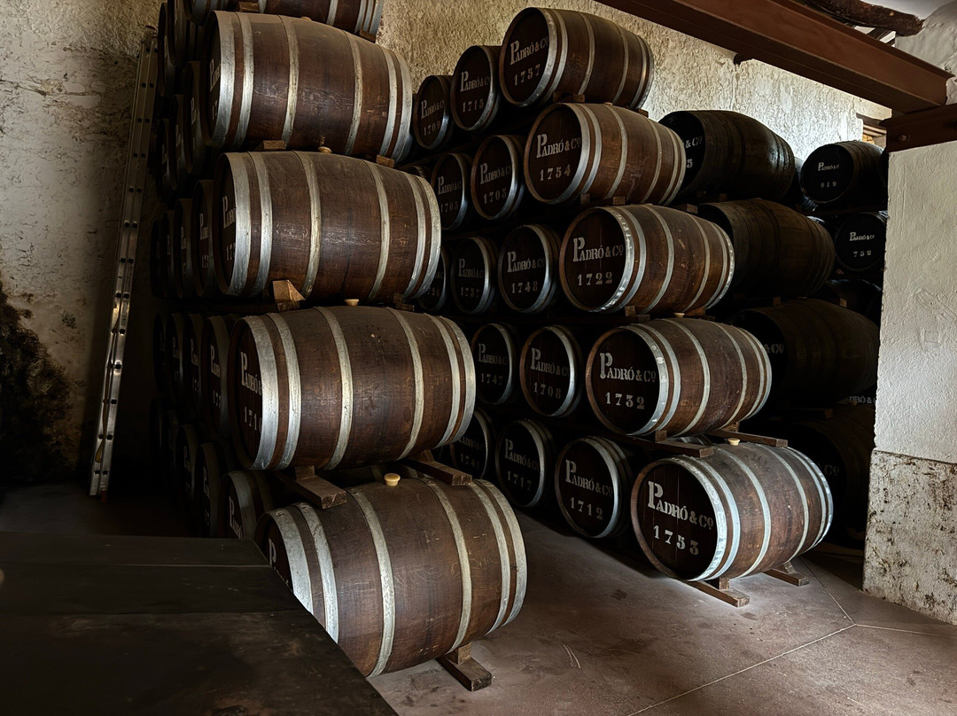 Casa Vermouth Padró-Brafim必去景点