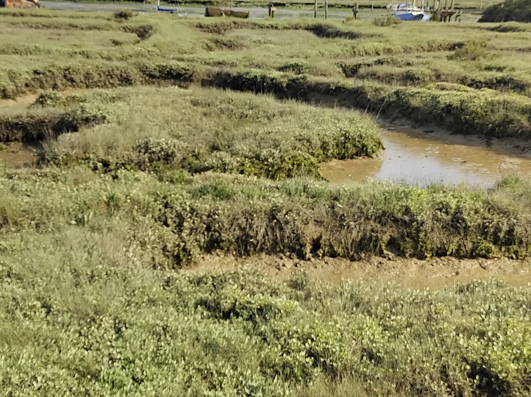 Brightlingsea Beach-Brightlingsea必去景点