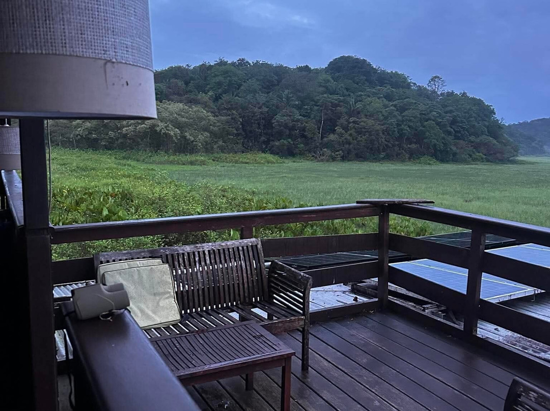 Ecolodge Flottant - Marais de Kaw-Regina必去景点