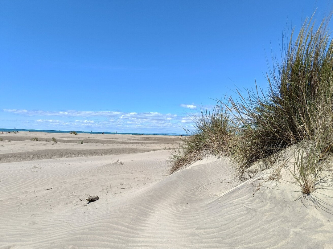 Plage de l’Espiguette-勒格罗迪鲁瓦必去景点
